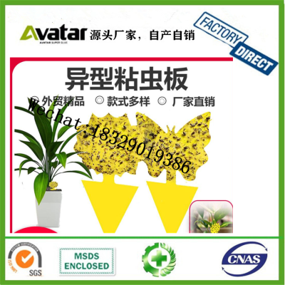 Hydroponic Greenhouse Insect Trap Brand Come to Insect