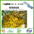Dual-Sided Yellow Sticky Traps for Flying Plant Insect Fungus Gnats Whiteflies Aphids