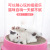 Cartoon Cat's Paw Spring Cat Teaser Can Insert Corrugated Paper Cat Scratch Board Cat Teaser Cat Toy Pet Supplies Wholesale