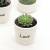 0268 Wholesale Love Ceramic Mini Flower Vase Succulent Plant Small Flower Pot
