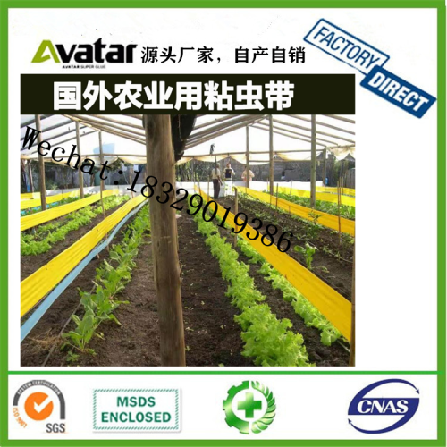 Double-Sided Stiy Insect Belt Greenhouse Waterproof Insect Trap Belt Yellow Tree Insect-Proof Tape Tea Garden Orchard High Viscosity Stiy Insect Board