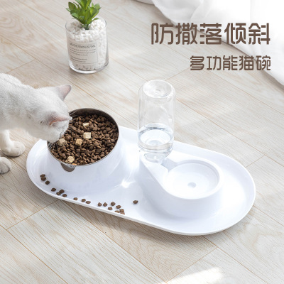 Anti-Splash Removable and Washable Stainless Steel Double Bowl Tilt Protection Cervical Spine Pet Bowl Cat Food Holder Dual-Use Dog Bowl