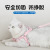 Factory Direct Sales Fashion Korean Cotton Filled Pet Hand Holding Rope Cat Cute Hand Holding Rope Imitation Nylon Chest Back Hand Holding Rope