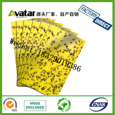 Dual-Sided Yellow Sticky Traps for Flying Plant Insect Fungus Gnats, Aphids,