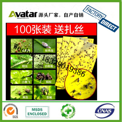 Greenhouse Manufacturer Vegetables Plant Yellow Board Sticky Trap