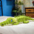 New Simulated Crocodile Doll Plush Toys Large Sleeping Strip Get Girls Birthday Gifts Rag Doll Pillow Free