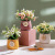 Hanging Pot Artificial Flower Little Daisy Fake Flower Window Living Room Desktop Ornament Decoration 