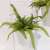 17 Fork Foreign Tooth Leaf Artificial Flower Fake Flower Greenery Grass Furniture Flower Basket Ornamental Flower