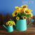 Factory Wholesale Spot Candy Color Iron Bucket Iron Watering Pot Gardening Home Decoration