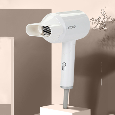 Linlu LR-3389 Small Foldable Temperature Control Hair Dryer 2-Speed 800W Household Hair Dryer