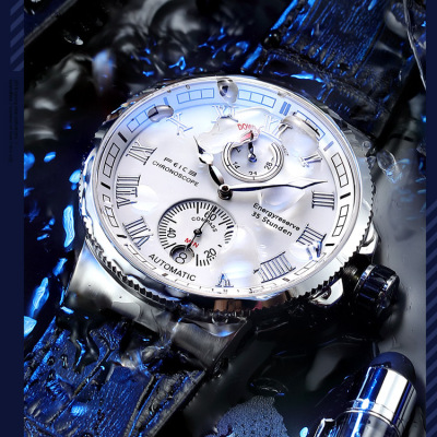 Feice Flyke Mechanical Watch Fm1405 Waterproof Luminous Men's Watch Fashion Men's Watch TikTok Live Streaming on Kwai