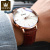 Hot Selling Wholesale Olevs Brand Luminous Waterproof Mechanical Watch Men's Watch Men's Watch One Piece Dropshipping