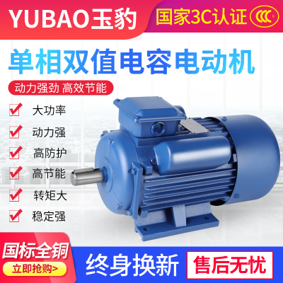 Single-Phase Motor 220V Small Two-Phase 0.75/1.1/1.5/2.2/3/4kW Copper Asynchronous Motor