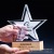 Factory Wholesale Content Customization Wholesale Trophy Quantity Discount Integrity Wooden Base Crystal Trophy Five-Pointed Star