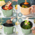 Multi-Functional Electric Cooker Student Dormitory Electric Food Warmer Electric Frying Pan Small Electric Pot Hot Pot Plug Electric Cooking All-in-One Pot