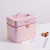 Scale Pattern Color Changing Cosmetic Case Large Capacity Portable and Versatile Four-Layer Cosmetic Storage Box