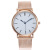 New Geneva Geneva Mesh Gold Silver Watch Men and Women Simple Ultra-Thin Couple's Watch Quartz Watch