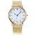 New Geneva Geneva Mesh Gold Silver Watch Men and Women Simple Ultra-Thin Couple's Watch Quartz Watch