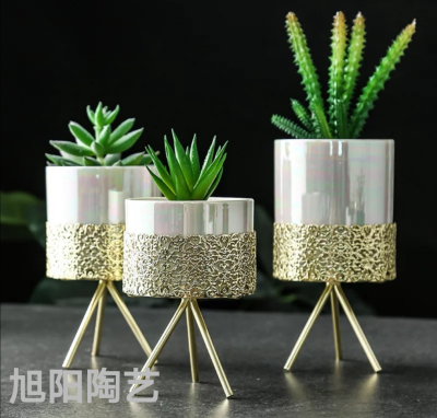 Luyue Ins Gold-Plated Iron Succulent Flower Pot Simple Nordic Iron Frame Ceramic Succulent Pot Hydroponic Flowerpot Green Plant