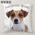 Modern Simple Pet Cute Dog Pillow Cover Linen Peach Skin Fabric Animal Print Sofa Cushion Cushion Cover H