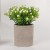 Amazon Hot Sale Milan Grain Simulation Pot Nordic Style Home Desktop Furnishings Artificial Plant Bonsai