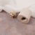 3D Cute Teddy Dog Silicone Mold Korean Ins Style Decoration Aromatherapy Candle Baking Cake Mousse Mold