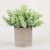 Amazon Hot Selling Product Nordic Style Simulation Flower Pot Pulp Bonsai