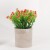 Amazon Hot Sale Milan Grain Simulation Pot Nordic Style Home Desktop Furnishings Artificial Plant Bonsai
