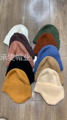 Japanese Style Hat Women's Autumn and Winter New Fashion Solid Color Earflaps Warm Sleeve Cap