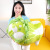 Novelty Toy New Vegetable Plush Toy Vegetable Dog Baby Doll Doll Cabbage Holding Stall Promotion Doll