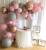 Internet Celebrity Wedding Balloon Chain Package Macaron Rubber Balloons Set Birthday Wedding Room Wedding Party Decoration