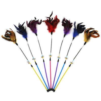 Factory Wholesale Color Transparent Cat Toy Cat Teaser Spring Rod Bell Chicken Feather Cat Playing Rod Pet Supplies