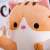 Long Lying Cat Pillow Plush Toys Cute Cat Doll Doll Ragdoll Get Girls Birthday Gifts Girlfriends for Free