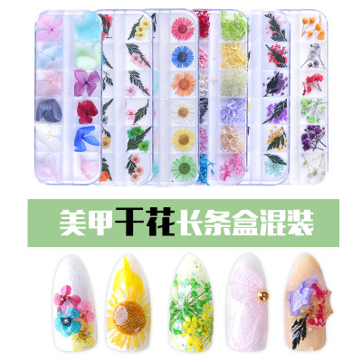 New Japanese Box Kit 12 Colors 3D Three-Dimensional Natural Ornament Lace Starry Five Petal Flower Nail Nail Beauty Dried Flowers