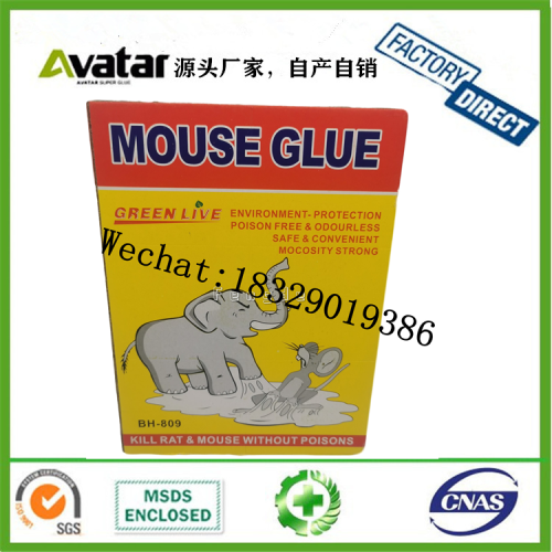 russian russian yellow glue mouse traps mouse sticker glue mouse traps glue rat trap rat trap mouse trap sticker mouse-trap