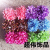 Small Floral Fabric Handmade Barrettes Catcher Hawaiian Headdress Flower Japan and South Korea Internet Hot Live Broadcast