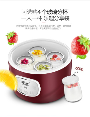 Household Automatic Yogurt Machine Mini Constant Temperature Stainless Steel Liner Cup Rice Wine Natto Fermenter