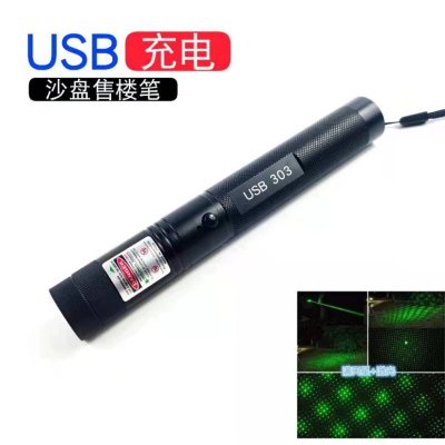 Cross-Border 303 Green Light Starry Laser Flashlight USB Teaching Laser Light Sales Laser Pen Flashlight Tube Wholesale
