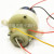 300 Reduction Motor Magic Ball Light Mobile PTZ Smart Lock Gear Box Pet Feeder Plastic Motor