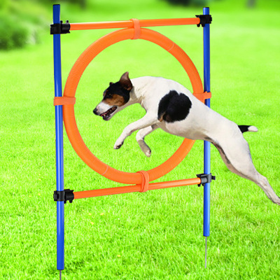 Amazon New Plug-and-Play Pet Toy Dog Training Hurdle Dog Jump Ring Outdoor Agility Trainer