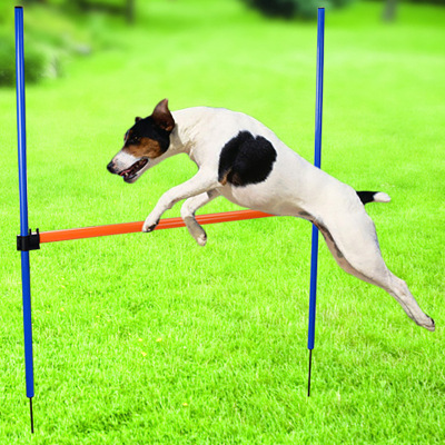 Amazon New Plug-and-Play Pet Toy Dog Training Hurdle Dog Hurdle Agility Trainer
