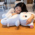 Creative Cute Kitty Doll Kitty Doll Girl Child Comfort Doll Couple Gift Plush Toy Plush toys