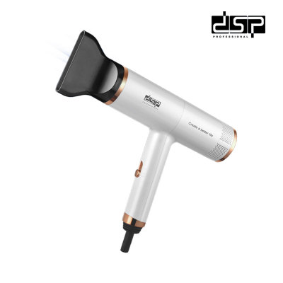 DSP Dansong cross-border direct supply household net celebrity T-type 2-speed hair dryer hot and cold air hair dryer