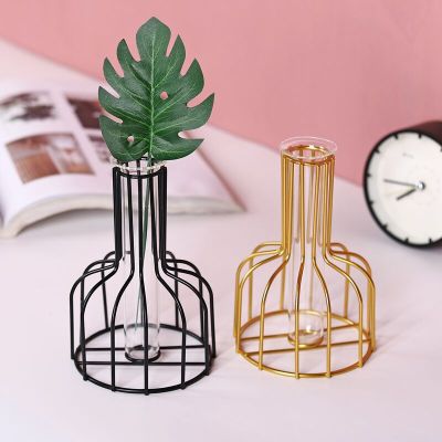 Nordic Ins Wrought Iron Gold Hydroponic Vase Decoration Living Room Dining Table Top Decoration Dried Flower Arrangement Green Dill Hydroponics