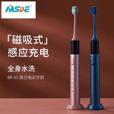 Ultrasonic Electric Toothbrush USB Rechargeable IPX7 Waterproof Home Travel OEM Processing Electric Toothbrush Customization