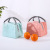 Popular Korean Style Fresh Printed Insulated Bag Ice Pack Printed Lunch Bag Portable Portable Lunch Bag