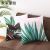 Ins High-Profile Figure Nordic Cactus Plant Peach Skin Fabric Car and Sofa Pillow Cover Cushion Cover Amazon Home