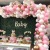 Macaron balloon chain set pink latex balloon combination set birthday wedding house party decoration