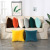 Cross-Border Ins Velvet Solid Color Pillow Coat Nordic Cushions Sofa Office Lumbar Pillow Large Backrest