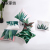 Ins High-Profile Figure Nordic Cactus Plant Peach Skin Fabric Car and Sofa Pillow Cover Cushion Cover Amazon Home